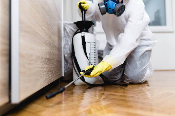 Best Ant Control Services  in Nephi, UT