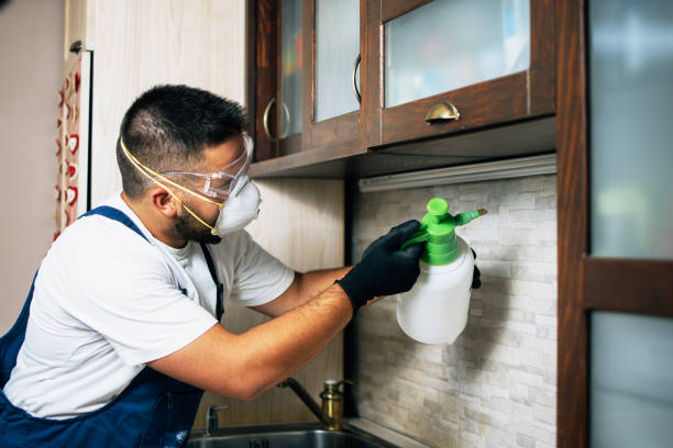 Best Exterminator Services  in Nephi, UT