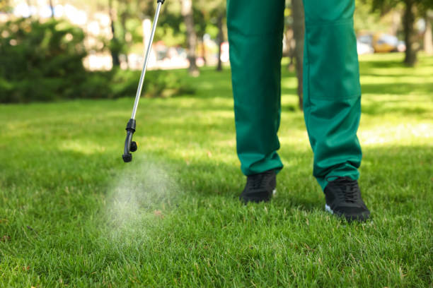 Best Pest Control Near Me  in Nephi, UT
