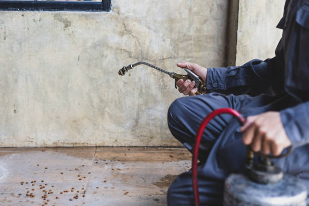 Best Pest Control Near Me in Nephi, UT